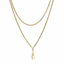 Long Guard Gold Chain with Dog Clip Image