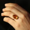 Amber 18k Egg Ring
