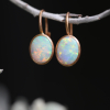 Opal 18k Rose Gold Lever Earrings