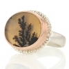 Oval Dendritic Agate Ring