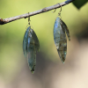 Labradorite Stone Cut Leaf Earrings