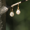 Small Disc Diamond Dew Gold Earrings