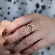 10k Gold Serpent Ring with Diamond Eyes Image