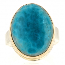 Gem Silica Silver and Gold Ring Image