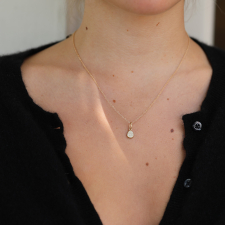 Petal Pave Necklace Image