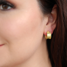 Wide Concave Hoop Earrings Image